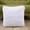 White, variant on 17x17 Inch Velvet Pillow Cover - Ultra Soft Short Plush Throw Pillow Case for Sofa/Bed | Machine Washable Decorative Cushion Cover (Red)