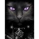 thumbnail image 2 of Cuadros Decorativos Kit de pintura de diamante 5D, ojos morados, gato, taladro redondo completo, diamantes de imitación, arte de pared DIY Tmvgtek embutido en tela, 2 of 9