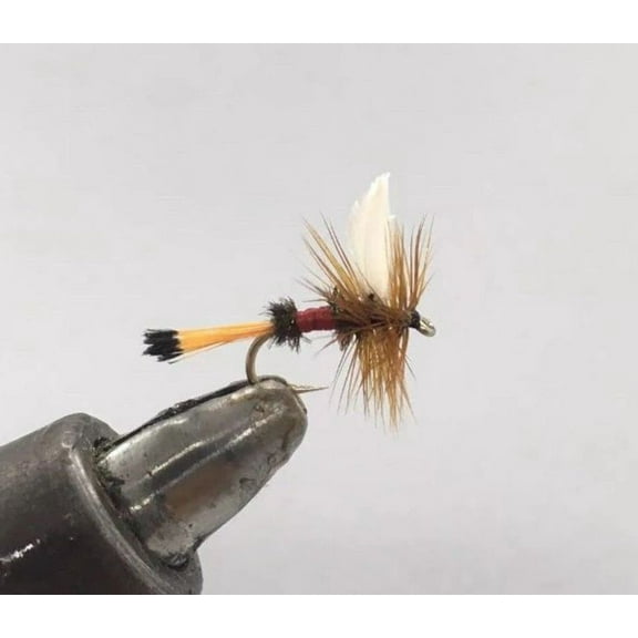 One Dozen (12) - Royal Coachman - Dry Fly