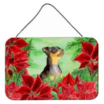 Carolines Treasures CK1371DS812 Miniature Pinscher 2 Poinsettas Wall or Door Hanging Prints  8x12 multicolor