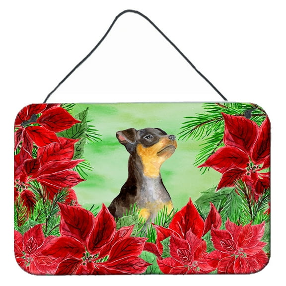 Carolines Treasures CK1371DS812 Miniature Pinscher 2 Poinsettas Wall or Door Hanging Prints  8x12 multicolor