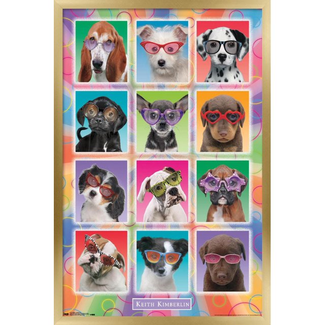 Keith Kimberlin - Chiots - Lunettes de soleil