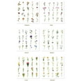 thumbnail image 6 of 240Pcs Pet Tulip Flower Stickers Waterproof Transparent Self-Adhesive Floral Stickers, 6 of 8