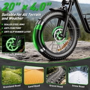 Electric Bike for Adults,750W Motor 1500W Peak,Top Speed 30MPH, Max 55miles,20×4.0 Fat Tires,48V 20Ah Battery,UL 2849,Fit for 18+