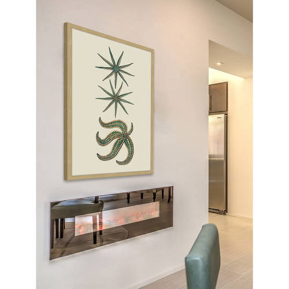 Marmont Hill "Green Starfish" Framed Painting Print