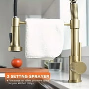Brushed Gold Kitchen Faucet with Pull Down Sprayer Single Handle Spring Faucet