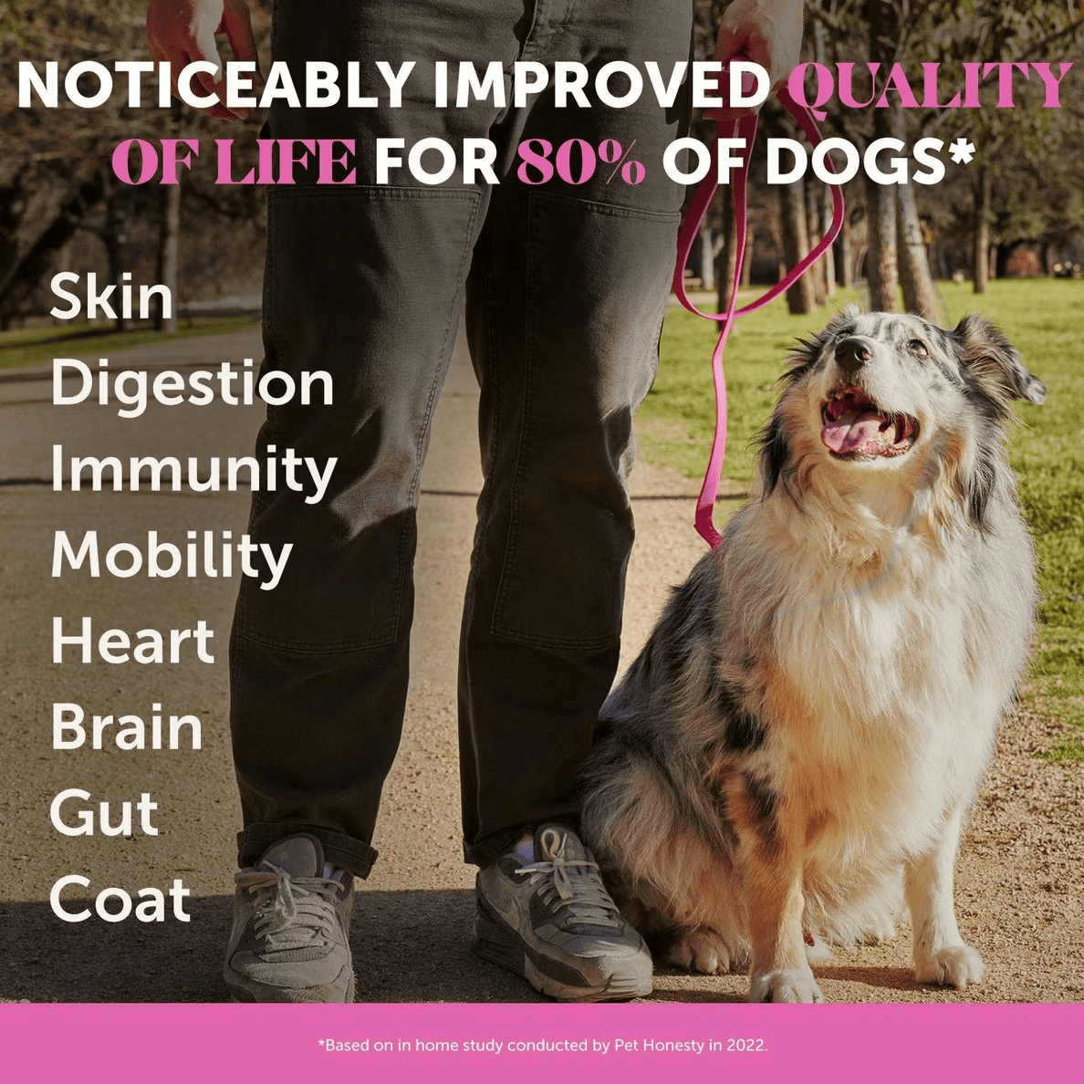 Pet Honesty Dog Multivitamin Max Strength, 15-in-1 Soft Chews with Glucosamine, Probiotics & Omega 3s – Supports Joint, Heart, Immune, Skin & Coat Health, Salmon Flavor, 90 Ct