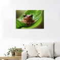 thumbnail image 4 of BCIIG Canvas wall art deco small koki frog a leaf hawaiian print picture artwork decoration living room bathroom bedroom decoration, 4 of 5