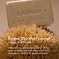 thumbnail image 2 of Esponja de lana marina, espuma, exfoliante corporal natural, 2 of 8