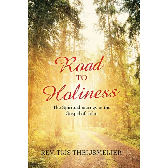 Road to Holiness : The Spiritual Journey in the Gospel of John