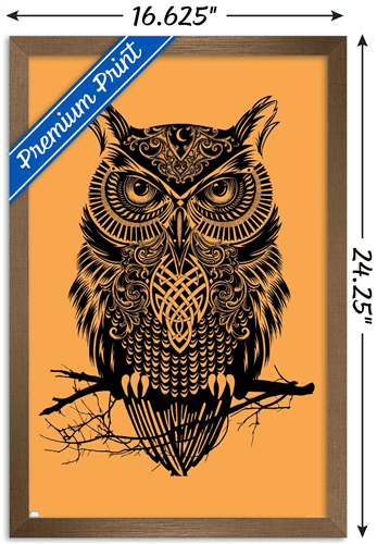 Rachel Caldwell - Warrior Owl On Orange Wall Poster, 14.725" x 22.375" Framed