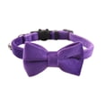 thumbnail image 1 of Cat Soft Velvet With Bow Tie Bell Breakaway Boy Girl Basic Pure Colors Male Female, 1 of 9