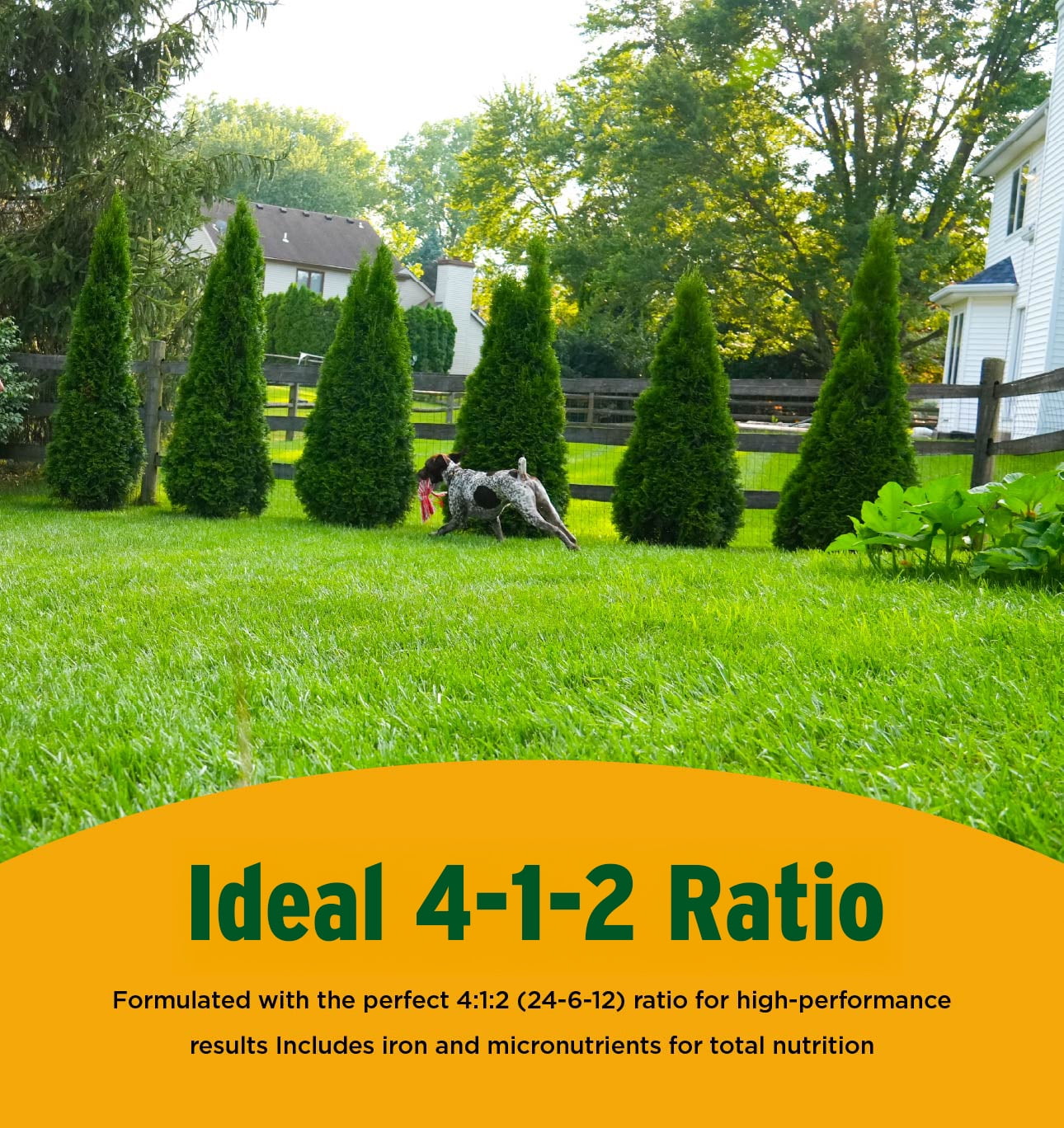 The Andersons Core 24-6-12 Professional-Grade All-Purpose Lawn Fertilizer - 45 lbs. Covers up to 15,500 sqft.