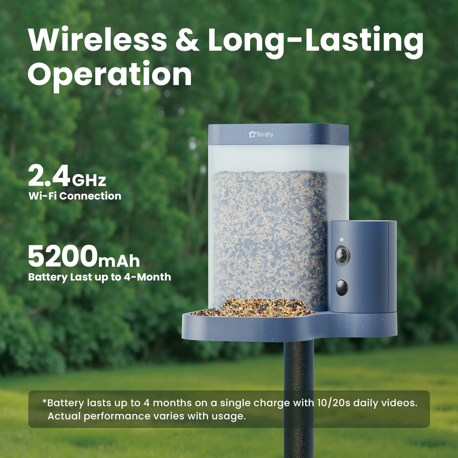 Birdfy Smart Bird Feeder with Camera, 60FPS Smooth Video, AI Bird Identification & Instant Alerts, Auto Capture, Perfect Gift for Bird Lovers