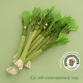 thumbnail image 2 of COOLHOOD 3Pc Realistic Celery Cats Toy With Silvervine And Bells Sound Interactive Play Chew Resistant Design For Kitten Training, 2 of 3