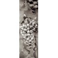 thumbnail image 2 of Blaustein, Alan 13x32 White Modern Wood Framed Museum Art Print Titled - Grapes Pano - 16, 2 of 4