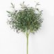 thumbnail image 5 of Simulación de rama de olivo diez tenedores hoja de olivo de seis tenedores hojas de plantas de simulación decoración de arreglos florales de boda traje nórdico-rama de olivo de 6 tenedores con fruta, 5 of 7
