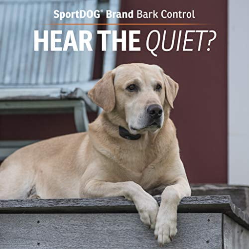 Sportdog no bark top