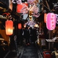 thumbnail image 3 of GOOHOCHY Faroles redondos de estilo japonés Farol redondo Farol para restaurante o sala de estar, 3 of 8