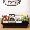 thumbnail image 4 of Xingzhi Flowerpot Nursery Pot Plant Pots Planter Plastic Space Saving Square Shatterproof Stackable Garden Office Window Accessory Transparent, 4 of 9