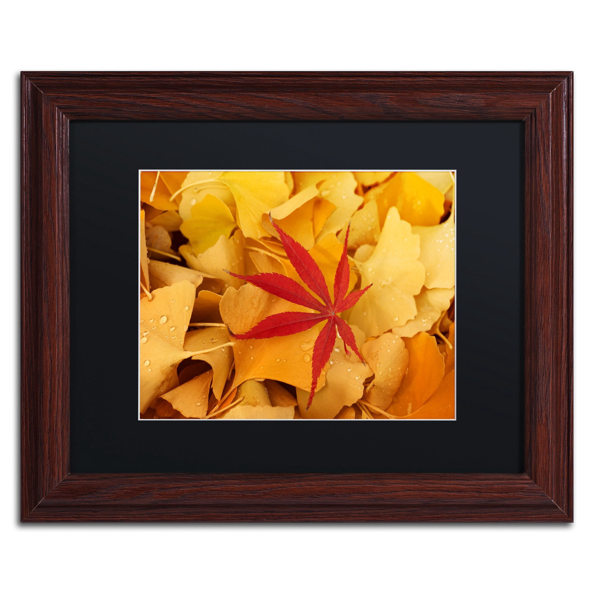 Trademark Fine Art "Red Star" Canvas Art by Philippe Sainte-Laudy Black Matte, Wood Frame