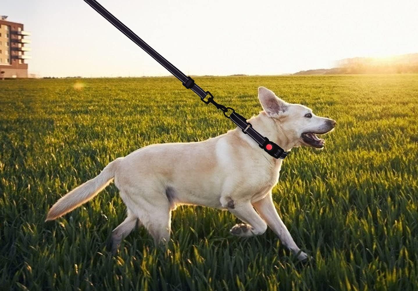 Solennerer Dog Collar Dog Leash Sets Heavy Duty Pet Leash Lead Rope for Small Medium Large Dogs Walking Running Training