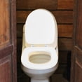 thumbnail image 4 of HEALEEP Asiento De Inodoro Oval Con Cojín Para Estabilidad Extra En Baños Modernos, 4 of 8