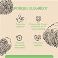 thumbnail image 5 of Hongo Melena de León 60 cápsulas veganas Quenut Lion's Mane Quenut QUENUTMELENADELEON, 5 of 5