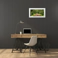 thumbnail image 3 of McLoughlin, James 18x11 White Modern Wood Framed Museum Art Print Titled - Country Road Photo VII, 3 of 4