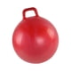 thumbnail image 2 of Pelota para saltar CUTICAT 55 cm Rojo, 2 of 8