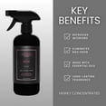 thumbnail image 3 of Kirtesy Air Freshener Rose 16 oz – Long-Lasting Odor Eliminator with Essential Oils, Premium Fragrance for Home, Office & Commercial Use, 3 of 5
