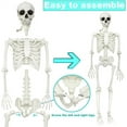 thumbnail image 4 of TETOU 5.4ft Skeleton Halloween Decorations,Realistic Full Body Movable Posable Joints Skeleton, Creepy Plastic Skeleton for Halloween Party Haunted House Props Indoor Outdoor Decor, 4 of 7