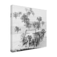 thumbnail image 3 of Canvas Wall Art - Shu-Guang Yang 'Black And White World, Quietly Waiting ' Wall Art for Living Room, Bedroom, or Office D?cor by Trademark Fine Art - 18 x 18 Inches, 3 of 4