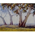 thumbnail image 2 of Gercken, Graham 14x12 White Modern Wood Framed Museum Art Print Titled - Roos, 2 of 4