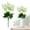 White, variant on Artificial Flower Hyacinth, Wheat Ear Flower & Wisteria Flower, Restaurant Partition Flower Arrangement, Wedding Decoration Flower Bouquet