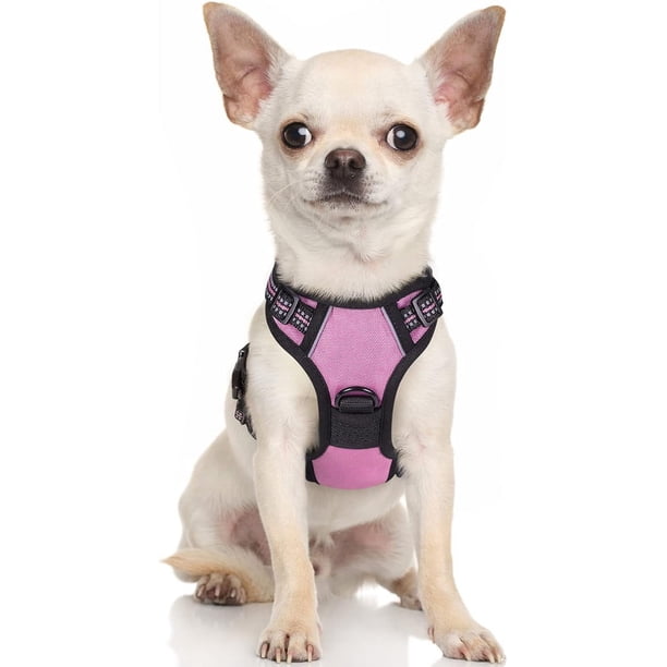 Rabbitgoo Arnés para Perros, Arnés para Mascotas Sin Tirones con 2 Clips para Correa, Chaleco Acolchado Suave Ajustable para Perros, Chaleco Oxford Reflectante para Mascotas sin Estrangulamiento con M