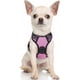 thumbnail image 1 of Rabbitgoo Arnés para Perros, Arnés para Mascotas Sin Tirones con 2 Clips para Correa, Chaleco Acolchado Suave Ajustable para Perros, Chaleco Oxford Reflectante para Mascotas sin Estrangulamiento con M, 1 of 4