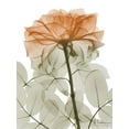 thumbnail image 2 of Koetsier, Albert 15x18 White Modern Wood Framed Museum Art Print Titled - Urban Jungle Rose 2, 2 of 4