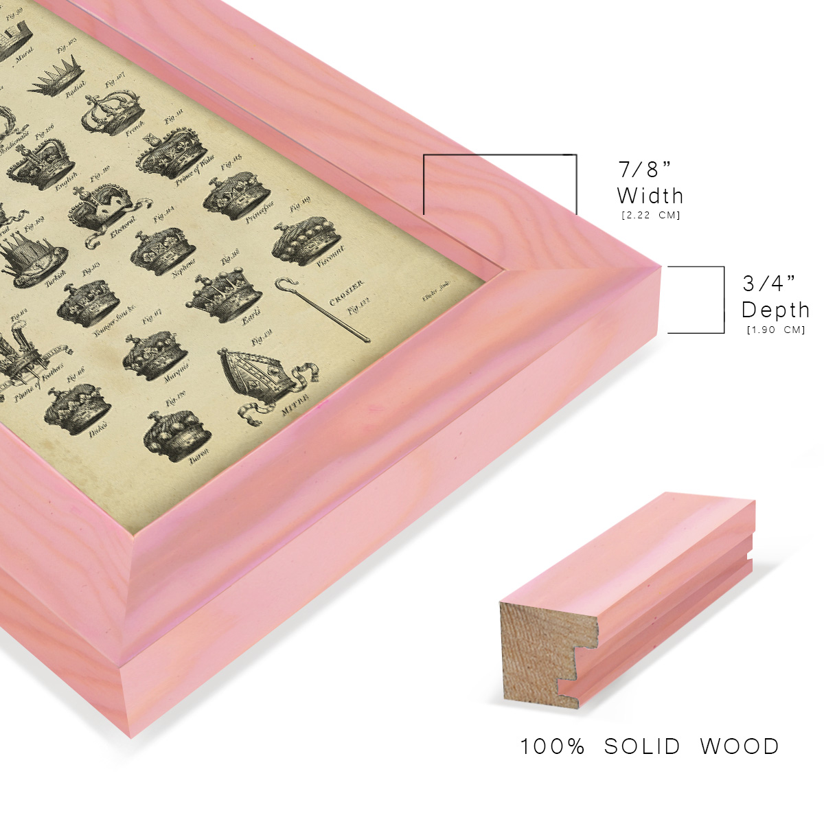 Deckled Encyclopediae IV (AS) -Framed Print w/glass-Sunset Pink