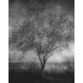 thumbnail image 2 of Holmstrom, Katarina 15x18 Black Ornate Wood Framed with Double Matting Museum Art Print Titled - Reminisce, 2 of 4