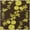 Brown/Green, variant on SAFAVIEH Soho Shelby Abstract Floral Wool Area Rug, Brown/Green, 2' x 3'