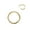 Gold, variant on 2PCS Stainless Steel Nose Lip Ear Ring Hinged Septum Clicker Hoop Body Piercing-16G 10mm-Rainbow
