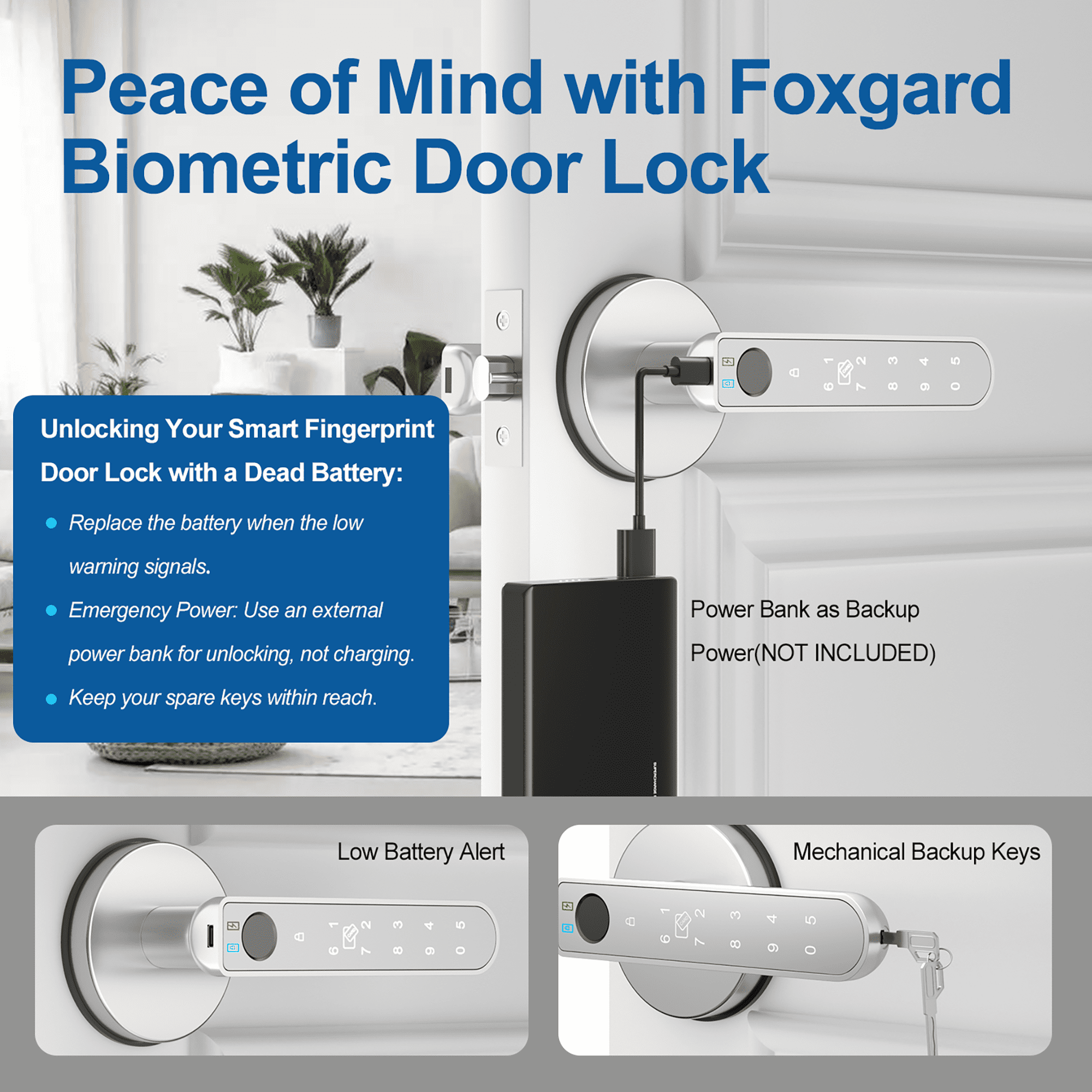 Foxgard Fingerprint Door Lock, Smart Door Knob with APP Control, 100 Fingerprints Biometric Door Lock with Tuya App, Silver