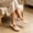 Beige, variant on Aobny Slip On Shoes Shoes Women Wedge Teacher Shoes Pumps Flat Shoes Shoes Soft Toe Square Toe Black Womens Shoes Casual,Size 39