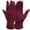 Wine Red, variant on BadPiggies Women's Winter Warm Gloves with Sensitive Touch Screen Texting Fingers Fleece Lined Windproof Driving Gloves (Black)