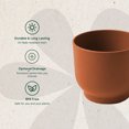 thumbnail image 2 of Bloem Enzo 4" Plastic Round Decorative Planter, Terra Cotta, 6-Pack, 2 of 6