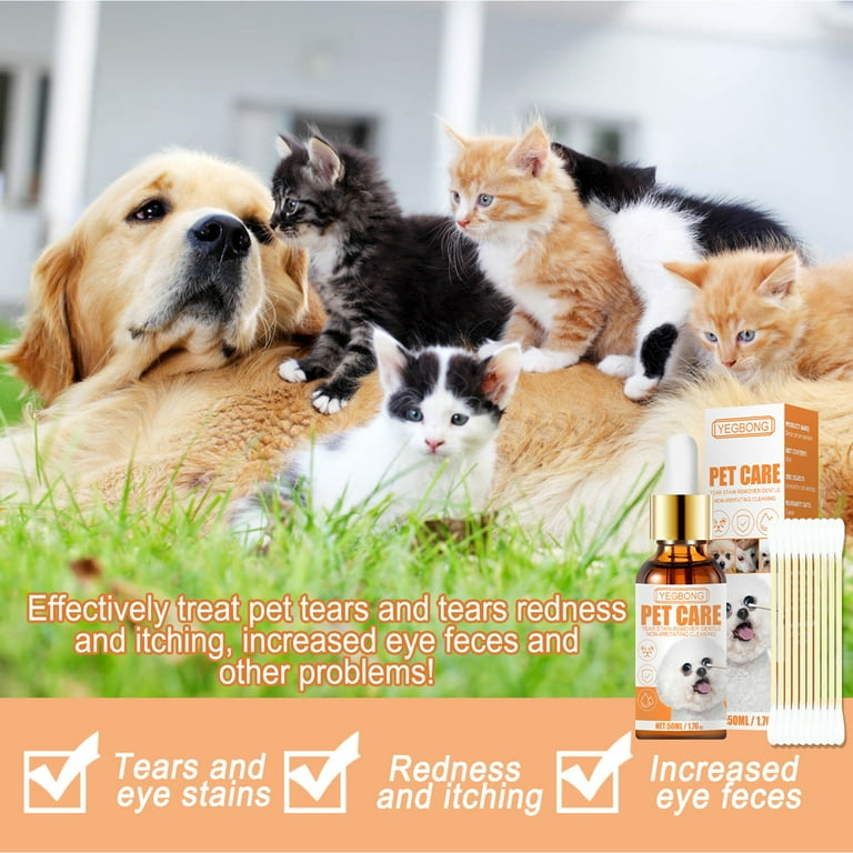 The best tear 2024 stain remover for dogs