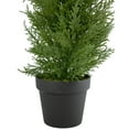 thumbnail image 4 of 2' Artificial Cedar Pine Petite Arborvitae Tree in Round Pot  Unlit - 12, 4 of 5