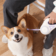 thumbnail image 5 of 3 Meters LED Flashlight Pet Leash Retractable Lighted Night Outdoor Walking Non-Slip Handle Supplies,C, 5 of 9