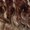 MELTALMOND, variant on Mane Concept Brown Sugar Skinbond Lace Glueless 13x2x6 Deep Lace Frontal Wig - BSSB222 LACE CUT 03